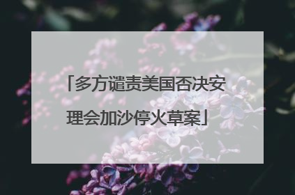 多方谴责美国否决安理会加沙停火草案