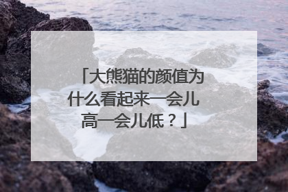 大熊猫的颜值为什么看起来一会儿高一会儿低？