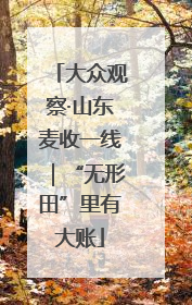 大众观察·山东麦收一线｜“无形田”里有大账