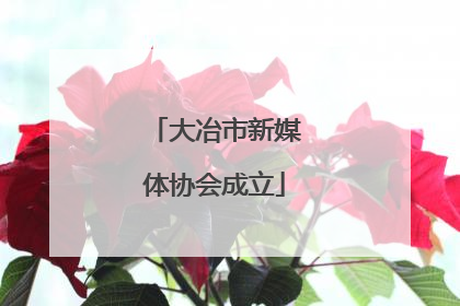 大冶市新媒体协会成立