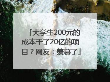 大学生200元的成本干了20亿的项目？网友：羡慕了