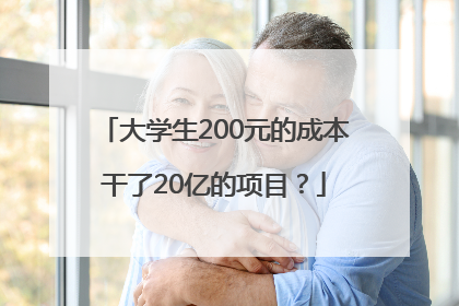 大学生200元的成本干了20亿的项目？