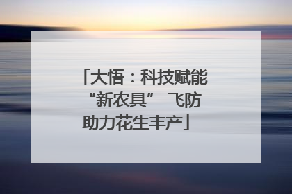 大悟：科技赋能“新农具” 飞防助力花生丰产