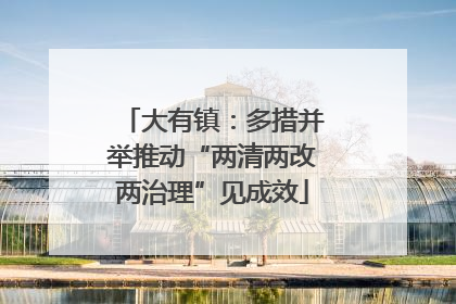 大有镇：多措并举推动“两清两改两治理”见成效