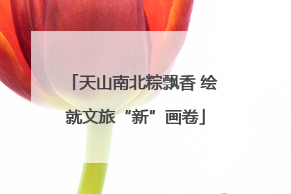 天山南北粽飘香 绘就文旅“新”画卷