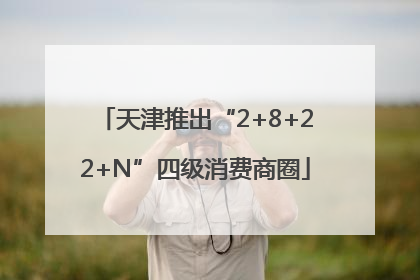天津推出“2+8+22+N”四级消费商圈