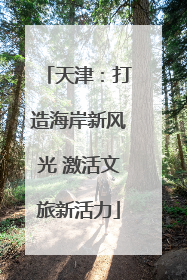 天津：打造海岸新风光 激活文旅新活力