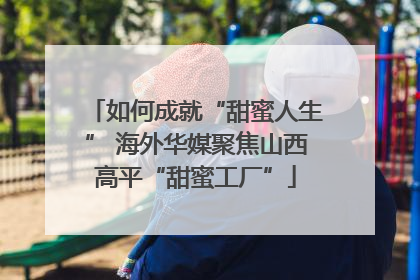 如何成就“甜蜜人生” 海外华媒聚焦山西高平“甜蜜工厂”