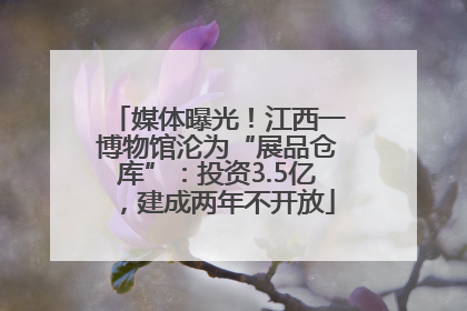 媒体曝光！江西一博物馆沦为“展品仓库”：投资3.5亿，建成两年不开放