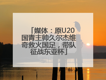 媒体：原U20国青主帅久尔杰维奇救火国足，带队征战东亚杯