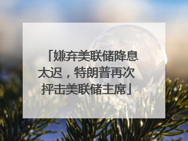 嫌弃美联储降息太迟，特朗普再次抨击美联储主席