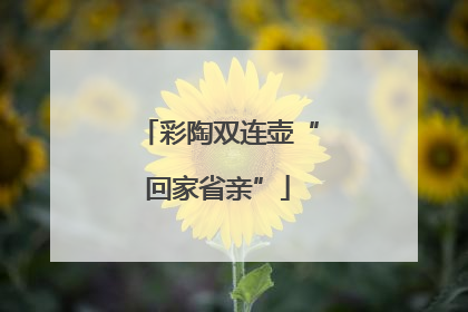 彩陶双连壶“回家省亲”