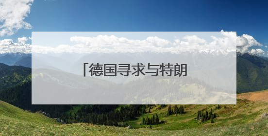 德国寻求与特朗普政府协调涉乌克兰问题立场