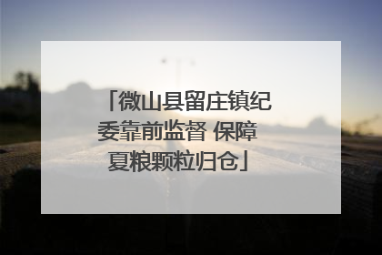 微山县留庄镇纪委靠前监督 保障夏粮颗粒归仓