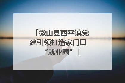 微山县西平镇党建引领打造家门口“就业圈”