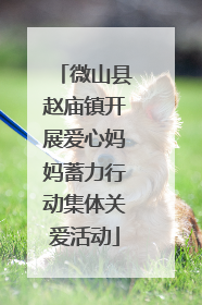 微山县赵庙镇开展爱心妈妈蓄力行动集体关爱活动