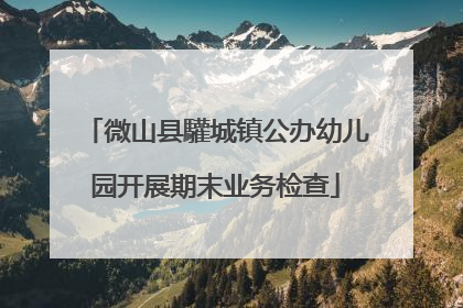 微山县驩城镇公办幼儿园开展期末业务检查