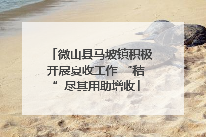 微山县马坡镇积极开展夏收工作 “秸”尽其用助增收