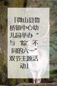 微山县鲁桥镇中心幼儿园举办“与‘粽’不同的六一”双节主题活动