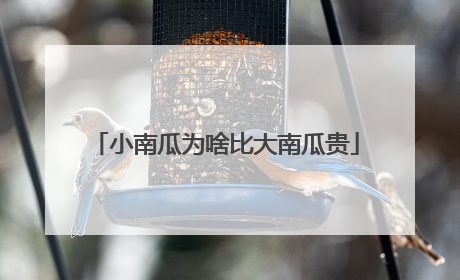 小南瓜为啥比大南瓜贵