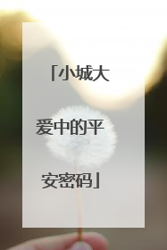 小城大爱中的平安密码