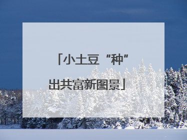 小土豆“种”出共富新图景