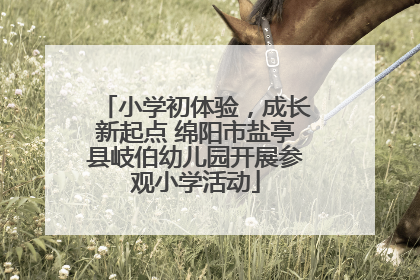 小学初体验，成长新起点 绵阳市盐亭县岐伯幼儿园开展参观小学活动