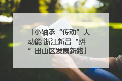 小轴承“传动”大动能 浙江新昌“拼”出山区发展新路