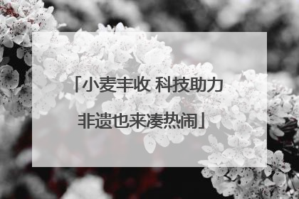 小麦丰收 科技助力 非遗也来凑热闹