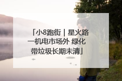 小8跑街｜星火路一机电市场外 绿化带垃圾长期未清