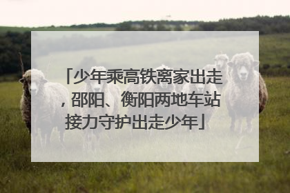 少年乘高铁离家出走，邵阳、衡阳两地车站接力守护出走少年