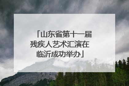 山东省第十一届残疾人艺术汇演在临沂成功举办