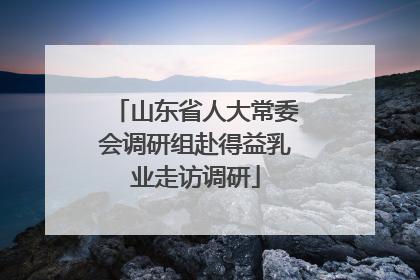 山东省人大常委会调研组赴得益乳业走访调研