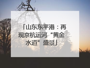 山东东平港：再现京杭运河“黄金水道”盛景