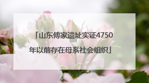 山东傅家遗址实证4750年以前存在母系社会组织