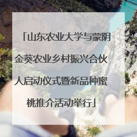 山东农业大学与蒙阴金葵农业乡村振兴合伙人启动仪式暨新品种蜜桃推介活动举行