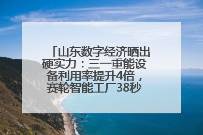 山东数字经济晒出硬实力：三一重能设备利用率提升4倍，赛轮智能工厂38秒生产一条轮胎