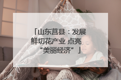 山东莒县：发展鲜切花产业 点亮“美丽经济”