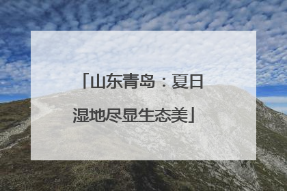 山东青岛：夏日湿地尽显生态美