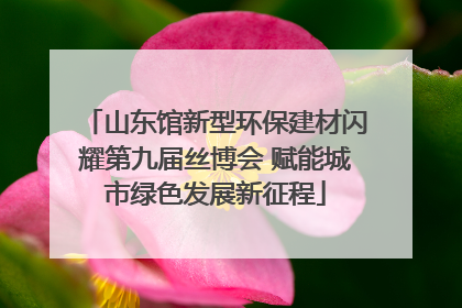 山东馆新型环保建材闪耀第九届丝博会 赋能城市绿色发展新征程