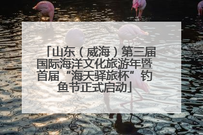 山东（威海）第三届国际海洋文化旅游年暨首届“海天驿旅杯”钓鱼节正式启动