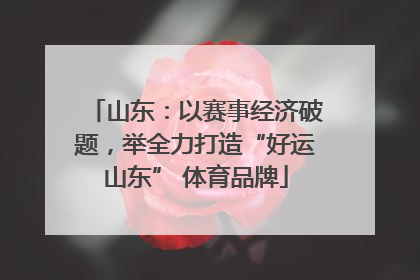 山东：以赛事经济破题，举全力打造“好运山东” 体育品牌
