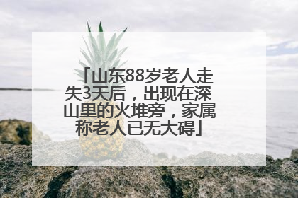 山东88岁老人走失3天后，出现在深山里的火堆旁，家属称老人已无大碍