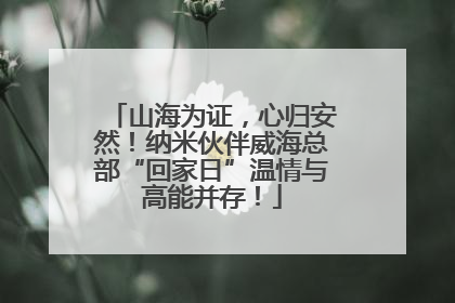 山海为证，心归安然！纳米伙伴威海总部“回家日”温情与高能并存！
