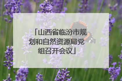 山西省临汾市规划和自然资源局党组召开会议