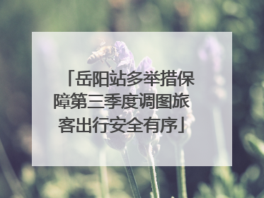 岳阳站多举措保障第三季度调图旅客出行安全有序