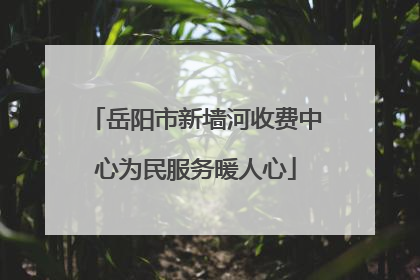 岳阳市新墙河收费中心为民服务暖人心