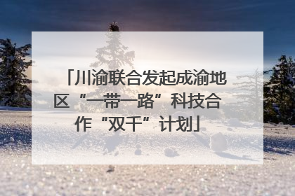 川渝联合发起成渝地区“一带一路”科技合作“双千”计划