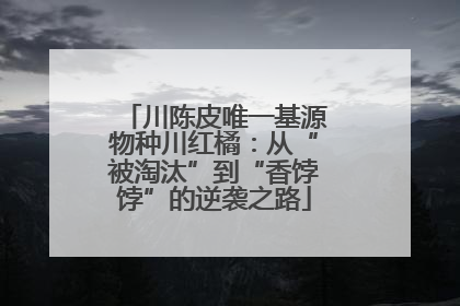 川陈皮唯一基源物种川红橘：从“被淘汰”到“香饽饽”的逆袭之路