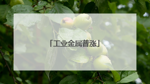 工业金属普涨